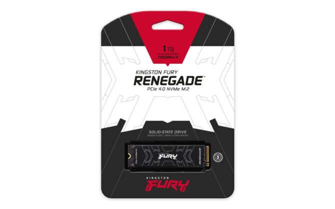 SSD 1TB KIN FURY Renegade M.2 2280 PCIe 4.0 NVMe - Image 3