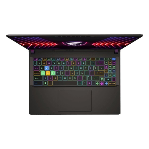 MSI Vector 16 HX A14VFG i9-14900HX / 32GB / RTX 4060 / 1TB SSD / 16" QHD+ / NoOS (gray) - Slika 2