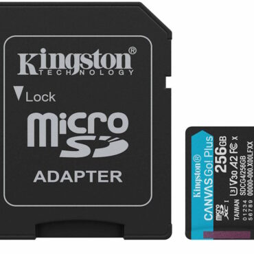 Kingston 256GB microSDXC Canvas Go Plus Gen4 +