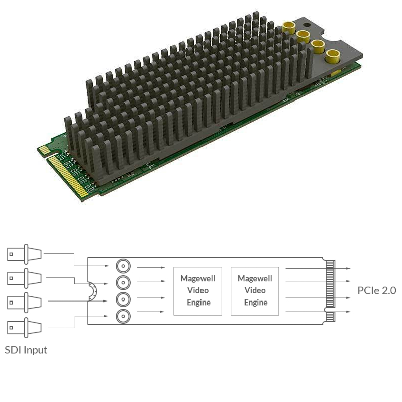 Magewell Eco Capture quad SDI M.2, M.2 form factor 4-channel 3G SDI, Windows/Linux (11540) - Slika 4