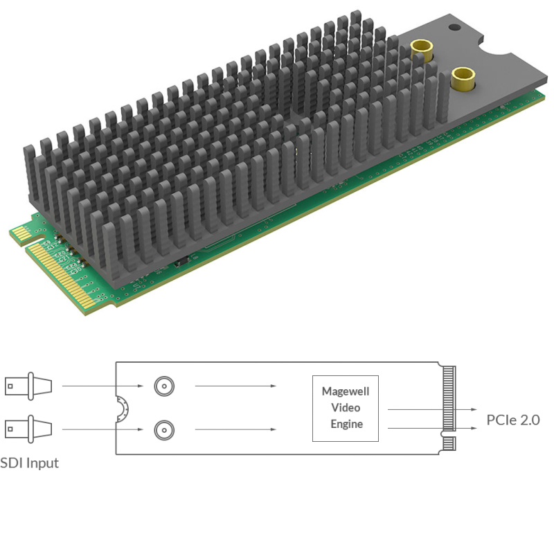 Magewell Eco Capture dual SDI M.2, M.2 form factor 2-channel 3G SDI, Windows/Linux (11530) - Slika 4
