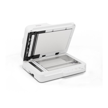 Epson WorkForce DS-1730, skener, 25ppm (B11B273401)