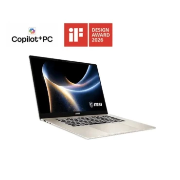 Windows 11 Pro Platinum Gray