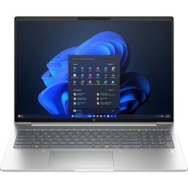 Windows 11 Pro Silver