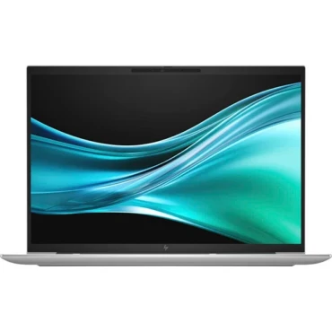 Windows 11 Pro Silver