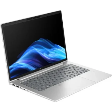 Windows 11 Pro Silver