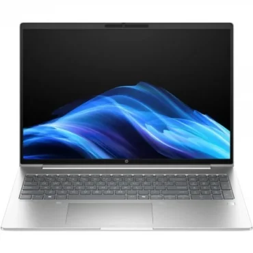 Windows 11 Pro Silver
